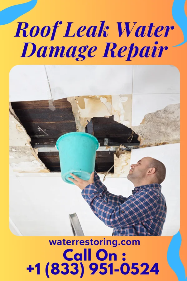 Roof Leak Water Damage Repair in Leavenworth, WA